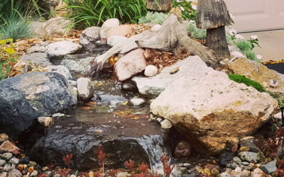 How to Hunt Down a Leak in Your Pond or Pondless Waterfall