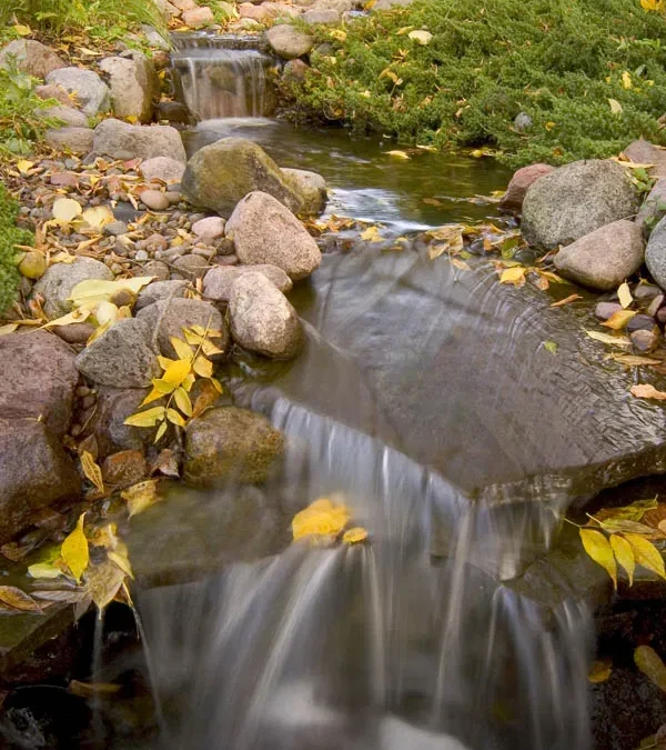 Fall Prep for Your Ecosystem Pond – Essential Late-Summer Tips from Pond King Water Gardens