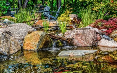 Do Water Features Attract Mosquitoes? An Ecological Guide for Gardeners